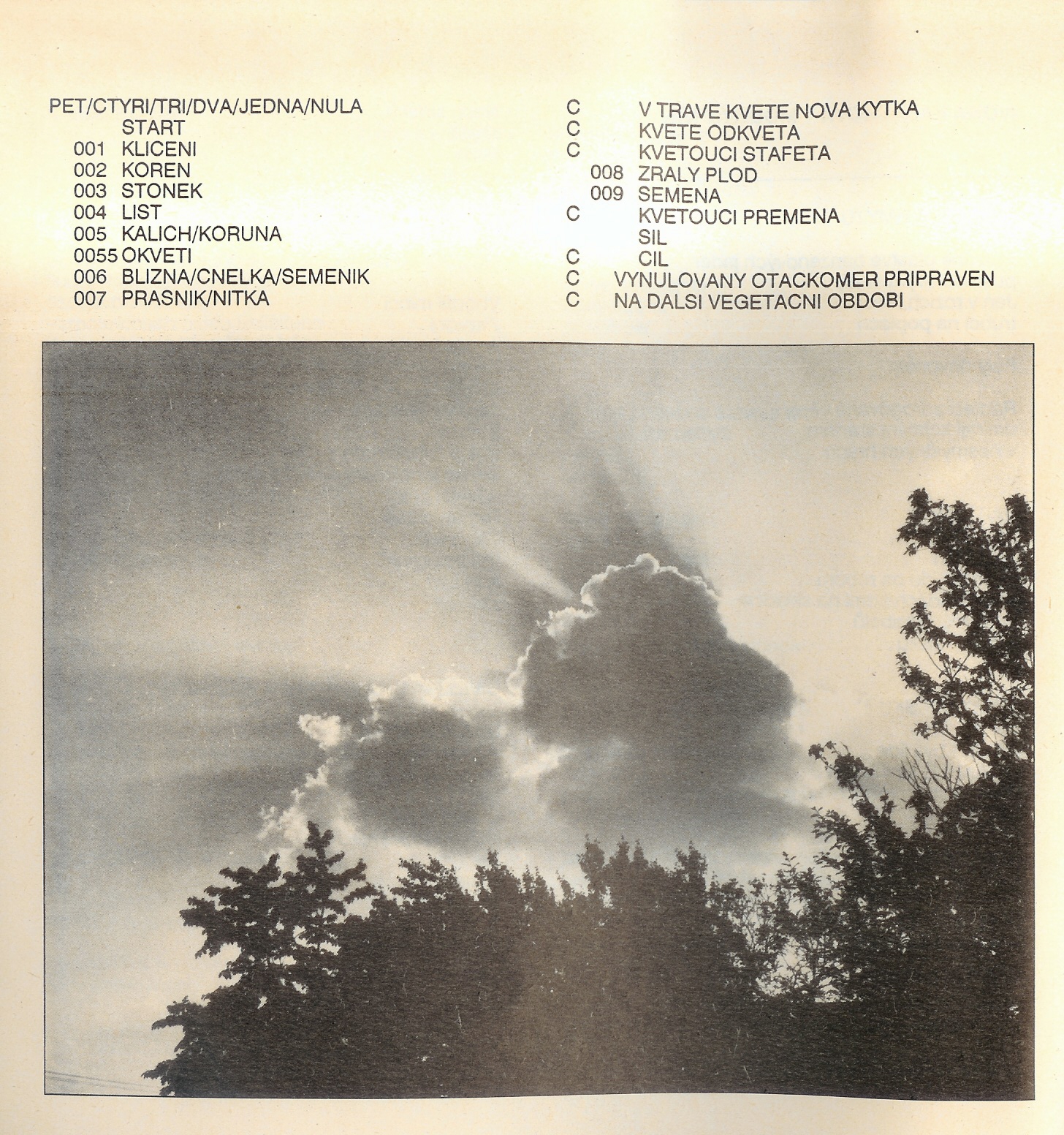 Vsacky_jalovec_1989_B